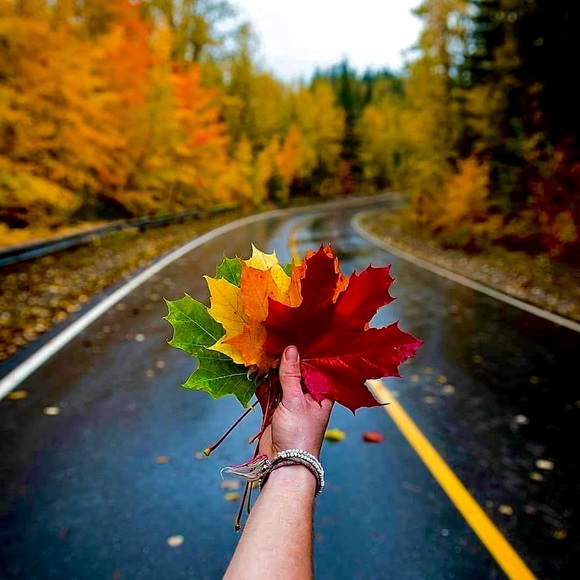 Meet your Posher, Reetz - Picture 1 of 1